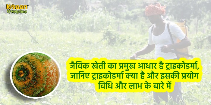 जैविक खेती का प्रमुख आधार है ट्राइकोडर्मा, जानिए ट्राइकोडर्मा क्या है और इसकी प्रयोग विधि और लाभ के बारे में